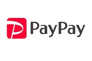 paypay-logo-wide